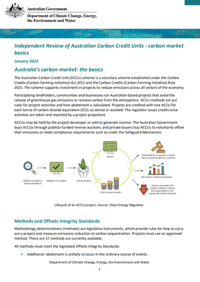 Independent Review of Australian Carbon Credit Units - carbon market basics