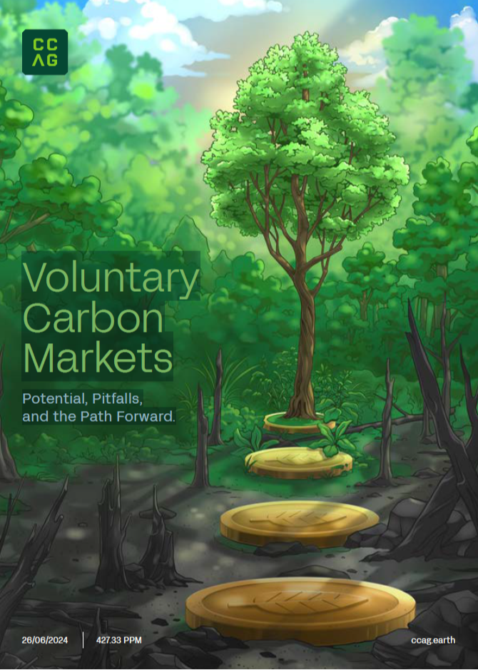 Voluntary Carbon Markets: Potential, Pitfalls, and the Path Forward