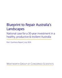 Blueprint to repair Australia’s landscapes: National case for a 30-year investment in a healthy, productive & resilient Australia