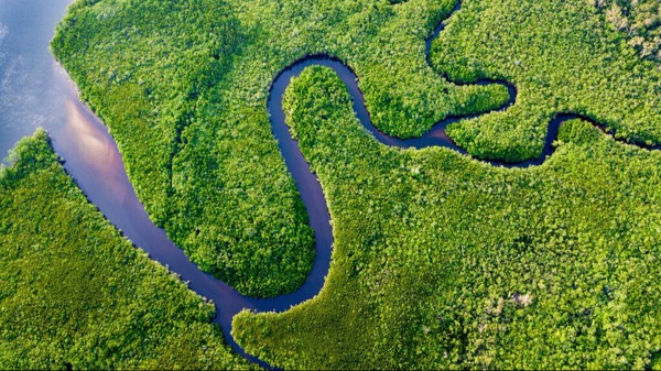 Queensland Decarbonisation Hub – Interim Review
